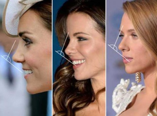 Примеры идеального носа у женщин