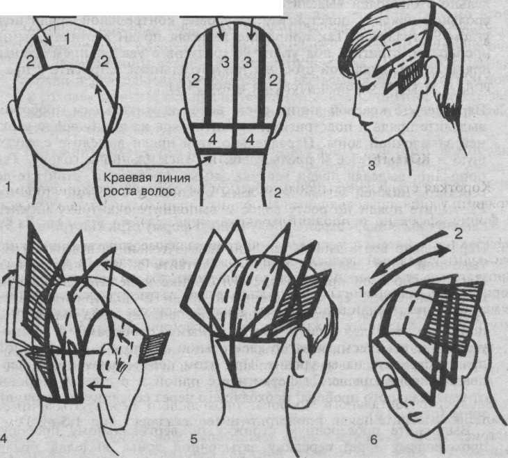 Схема окрашивания волос на голове