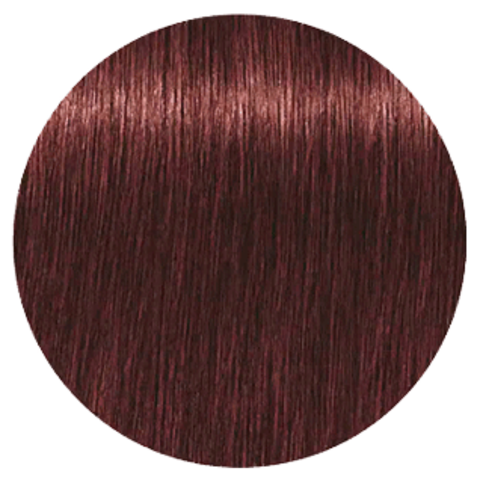 Schwarzkopf Igora Royal High Power Browns B-9 (Коричневый фиолетовый) -  Краска для волос