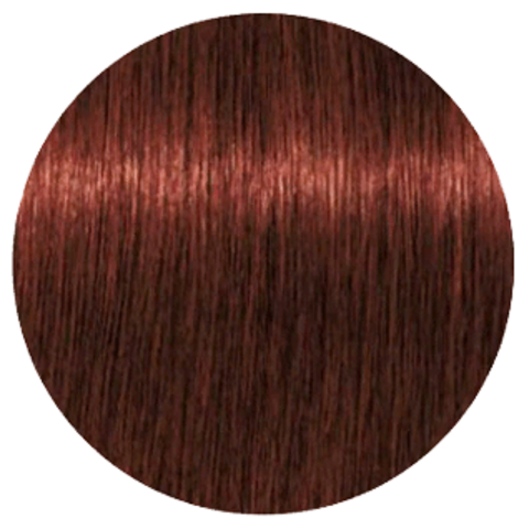 Schwarzkopf Igora Royal High Power Browns B-8 (Коричневый красный) - Краска для волос