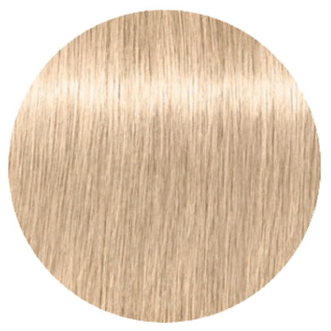Schwarzkopf Igora Royal New 12-2 (Специальный блондин пепельный) - Краска для волос