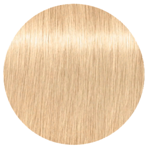 Schwarzkopf Igora Royal New 12-0 (Специальный блондин натуральный) - Краска для волос