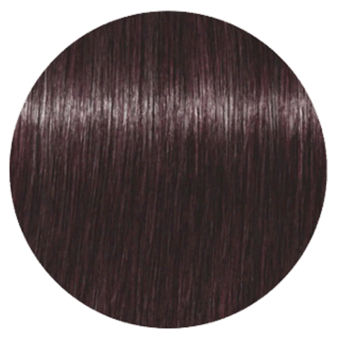 Schwarzkopf Igora Royal 4-29 (Средний коричневый пепельный фиолетовый) - Краска для волос