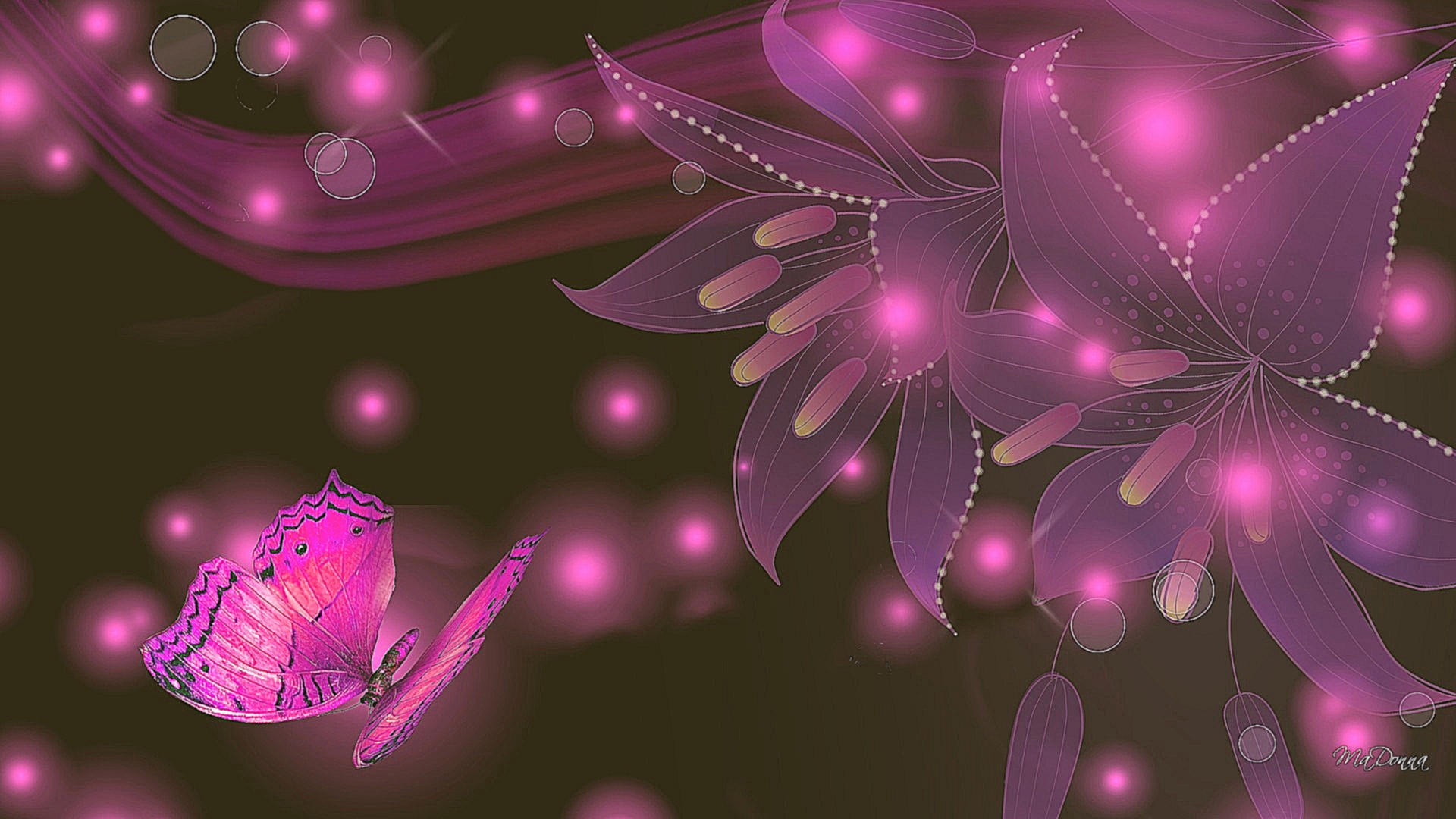 Purple And Pink Butterfly Wallpaper With High Resolution 1920x1080 px